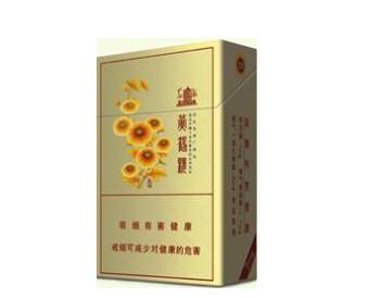集成灶墙外烟道图片高清