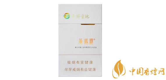 非接触式红外烟温探针