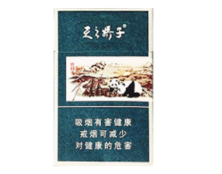 户外烟机灶具哪个品牌好